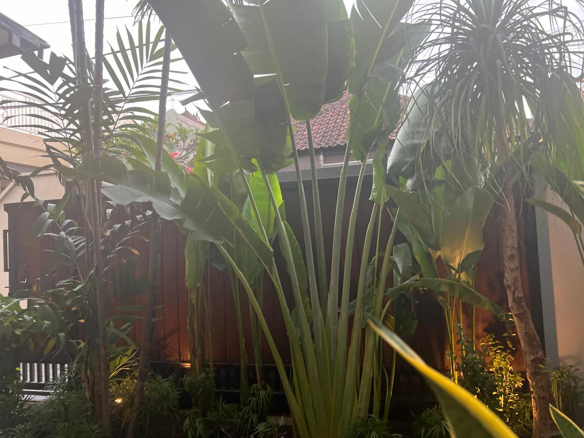 Villa Makmur Kerobokan Exteriör bild